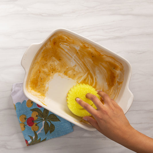 The Everyday Uses of Scrub Daddy