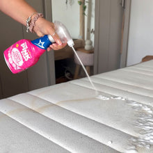 Load image into Gallery viewer, The Miracle Foaming Carpet &amp; Upholstery Stain Remover
